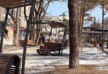 🌬☁️ Прохлада вернётся в Уссурийск на этой неделе, а ветер принесёт в наш округ весенние осадки