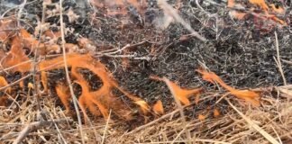 🔥 Сухая трава горит на полях округа!