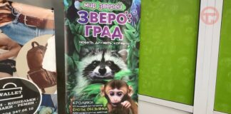 🦝 Целая экзоферма поселилась в торговом центре Уссурийска