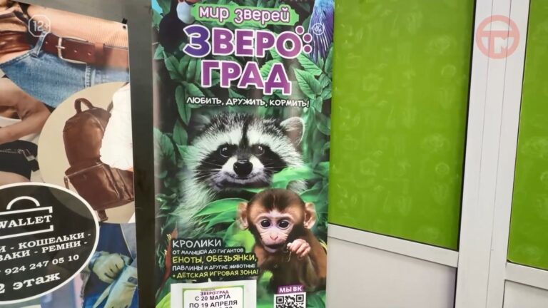 🦝 Целая экзоферма поселилась в торговом центре Уссурийска