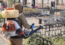 🤩 Охота на клеща началась