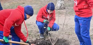 🌳 Международная акция «Сад памяти» прошла в парке Суворовского училища Уссурийска
