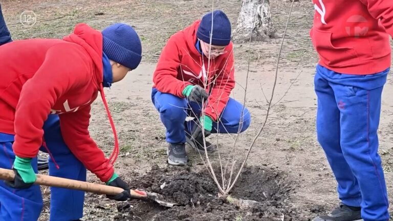 🌳 Международная акция «Сад памяти» прошла в парке Суворовского училища Уссурийска