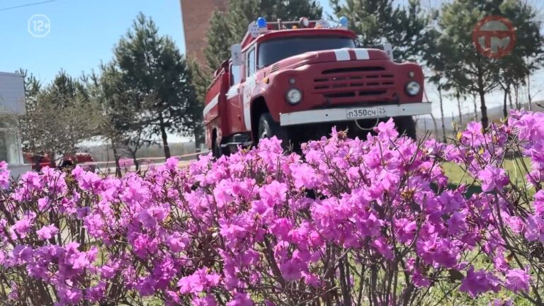 👩‍🚒 Уссурийские пожарные показали, как тушат огонь и спасают людей