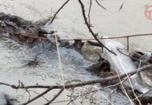 βοΈ ΠΠΎΠ»ΡΡΠ°Ρ ΡΠΈΡΡΠΊΠ° Π½Π° Π‘Π»ΠΎΠ±ΠΎΠ΄Π΅: Π±ΡΠΈΠ³Π°Π΄Ρ Π΄ΠΎΡΠΎΠΆΠ½ΡΡ
ΡΠ»ΡΠΆΠ± ΠΎΡΠ²ΠΎΠ±ΠΎΠΆΠ΄Π°ΡΡ Π²ΠΎΠ΄ΠΎΠΎΡΠ²ΠΎΠ΄Π½ΡΠ΅ ΠΊΠ°Π½Π°Π»Ρ ΠΎΡ Π·Π°ΡΠΎΡΠΎΠ²