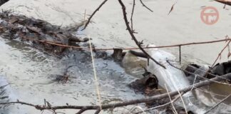 ✔️ Большая чистка на Слободе: бригады дорожных служб освобождают водоотводные каналы от заторов