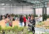 🌺 Цветоводы Приморья собрались в садовом центре «Загород»