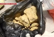 ☎️ Первый этап акции «Сообщи, где торгуют смертью» завершили в Приморье