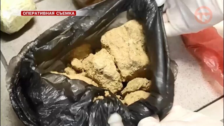 ☎️ Первый этап акции «Сообщи, где торгуют смертью» завершили в Приморье