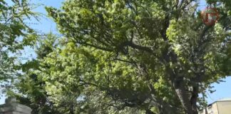 🌡 Резкое вторжение воздушных масс прогнозируют синоптики в Приморье в среду