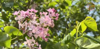 🌡 Непогода приближается к Приморью