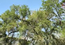 ⛅️ Синоптики прогнозируют переменчивую погоду на следующей неделе в Приморье