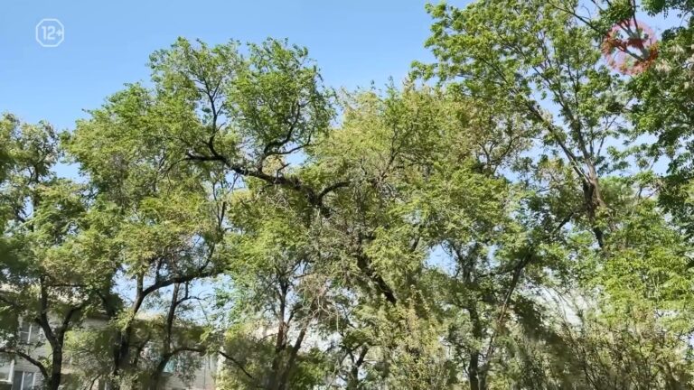 ⛅️ Синоптики прогнозируют переменчивую погоду на следующей неделе в Приморье
