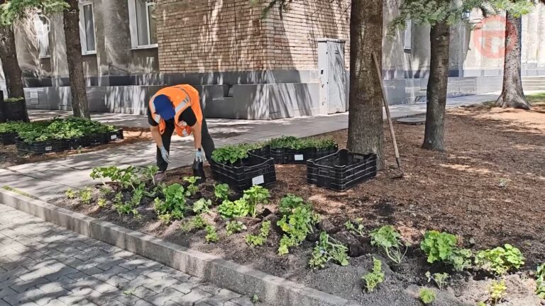 💐 Яркие краски уссурийских улиц! 🌷