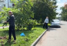 ✔️ На масштабную уборку города вышли работники администрации округа