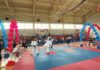 🥋 Чемпионат и первенство по тхэквондо прошли в Уссурийске