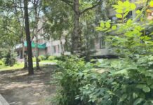 ☀️ Последние июньские выходные в Уссурийске будут солнечными!