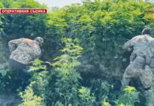 🚨 Уссурийска в списке нет — наш округ не фигурирует в сводке операции «МАК»