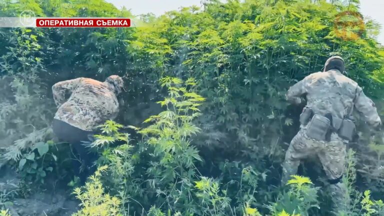 🚨 Уссурийска в списке нет — наш округ не фигурирует в сводке операции «МАК»