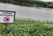 🛟 Безопасность у воды