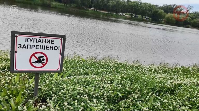 🛟 Безопасность у воды