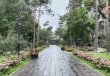 ☁️ Пасмурной ожидается суббота в Уссурийске — за окном обещают до 22 градусов тепла