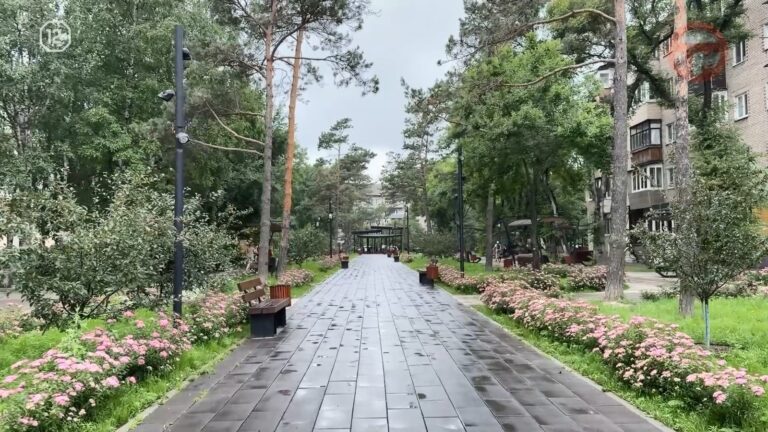 ☁️ Пасмурной ожидается суббота в Уссурийске — за окном обещают до 22 градусов тепла