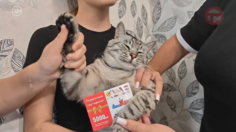 ✔️ Тепловые сети помогают собраться в школу
