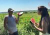 🍉 Арбузный разгул на прилавках рынков Уссурийска