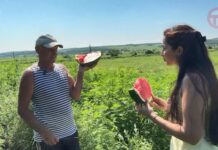 🍉 Арбузный разгул на прилавках рынков Уссурийска