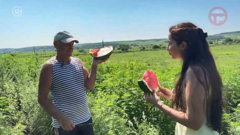 🍉 Арбузный разгул на прилавках рынков Уссурийска
