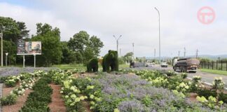 ✔️ Цветы украли с одной из городских клумб на въезде в Уссурийск