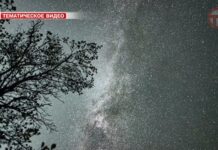 🌠 Яркий звездопад увидят приморцы через неделю