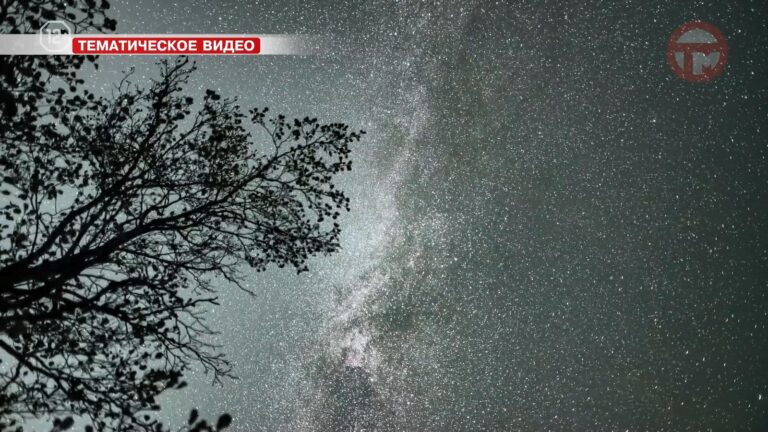 🌠 Яркий звездопад увидят приморцы через неделю