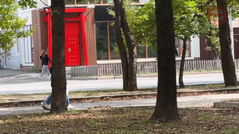 🌧 Дождь и молнии — ненастными будут эти выходные в Уссурийске