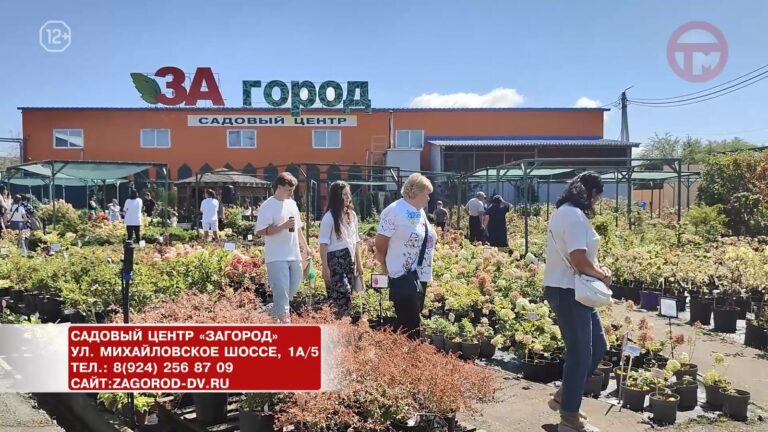🌺 Яркий фестиваль гортензий прошёл в садовом центре «Загород». Уже в десятый раз!
