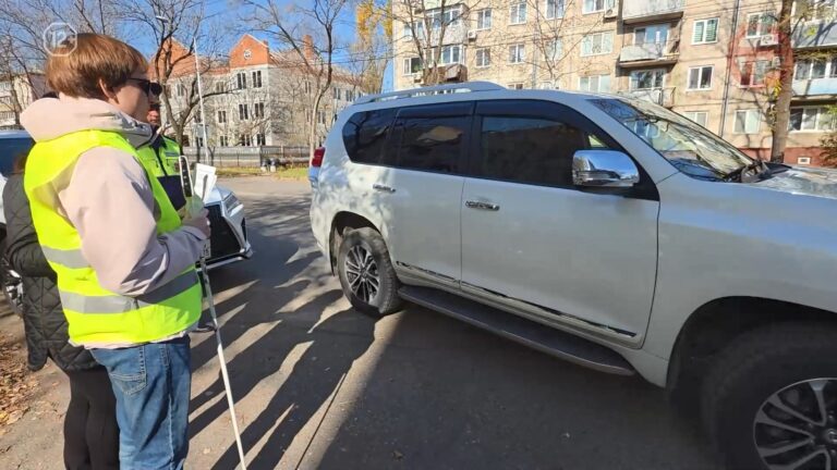 🦯🚘 «Уступи дорогу белой трости»