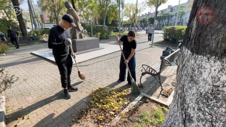 🧹🍁 Сделали город чище