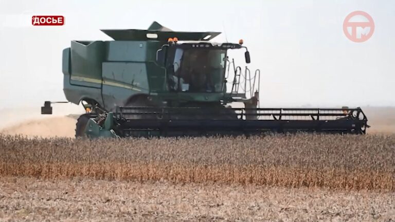 🌱🚜 Главную экспортную культуру убирают на полях края