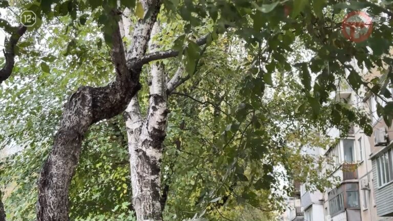 ☀️ Циклон уйдёт — погода наладится на этой неделе в Уссурийске